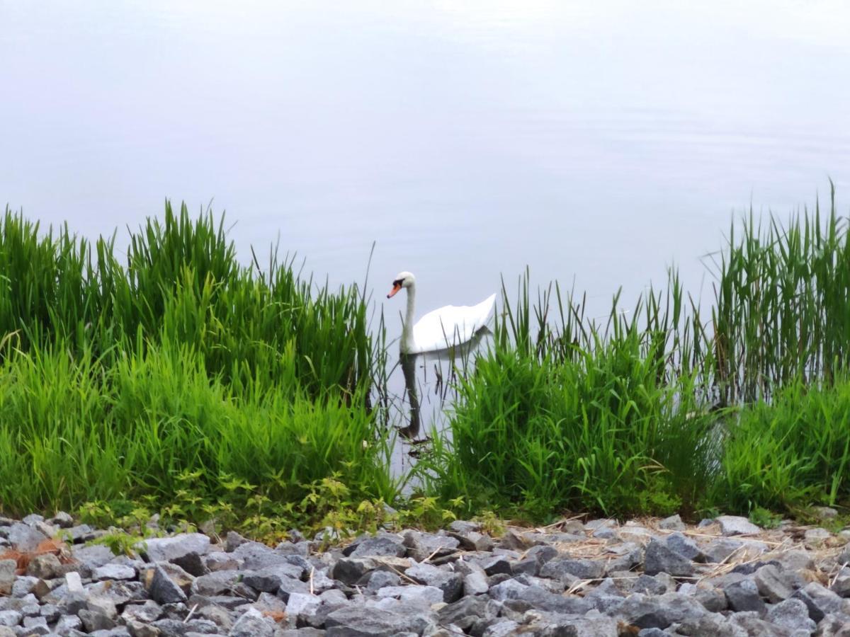 Miodowa Sadyba Domki Caloroczne Kluczbork Ligota Zamecka Buitenkant foto