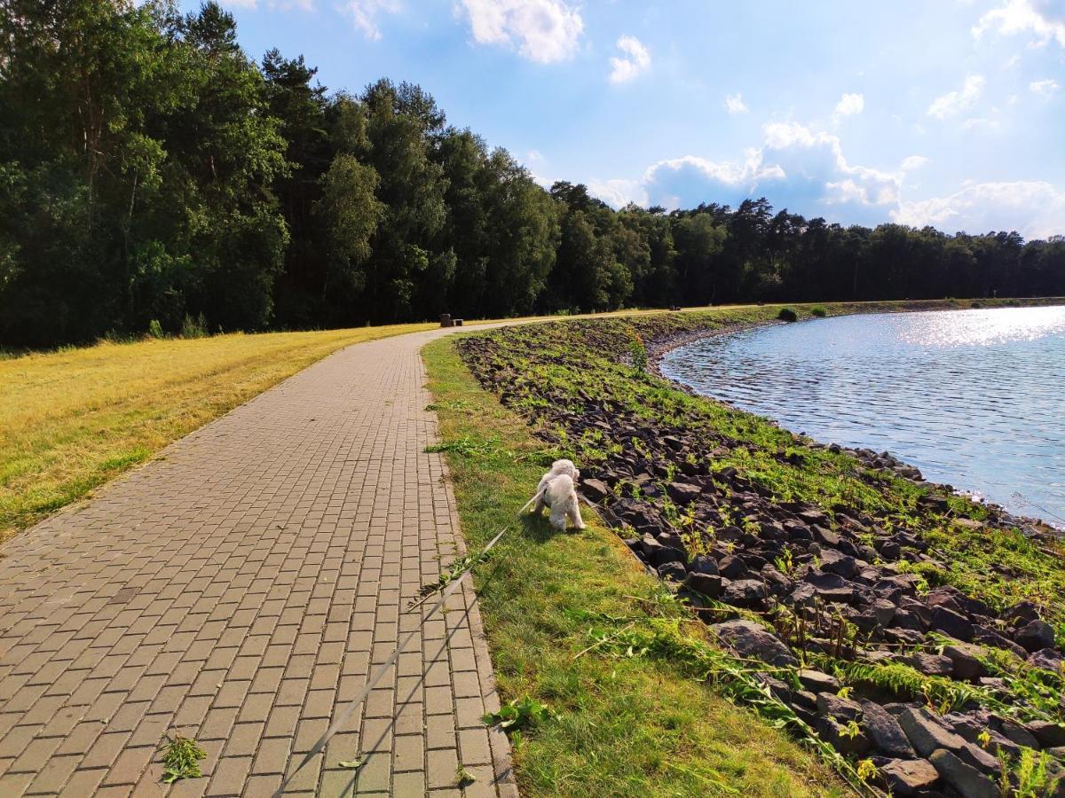 Miodowa Sadyba Domki Caloroczne Kluczbork Ligota Zamecka Buitenkant foto