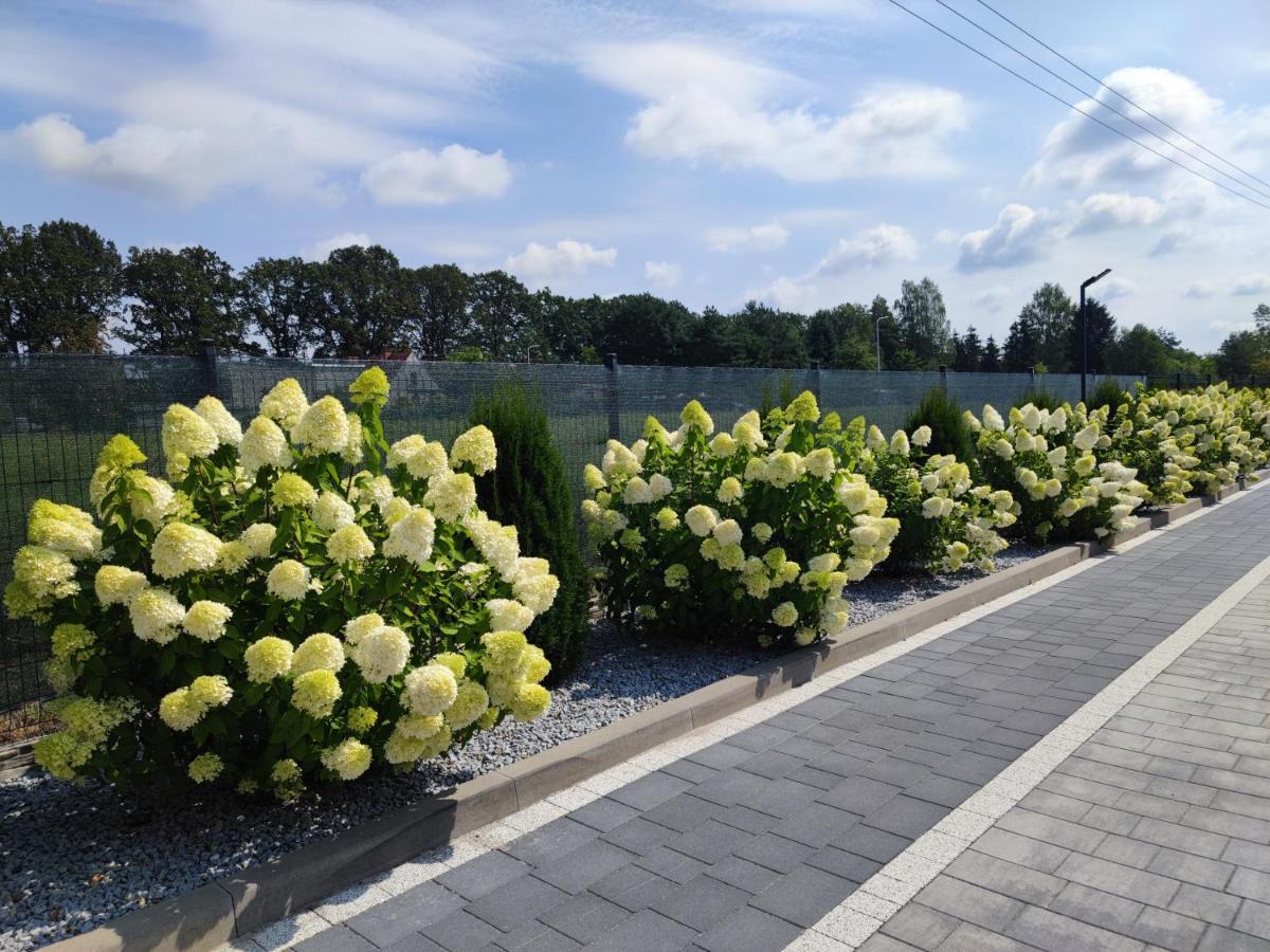 Miodowa Sadyba Domki Caloroczne Kluczbork Ligota Zamecka Buitenkant foto