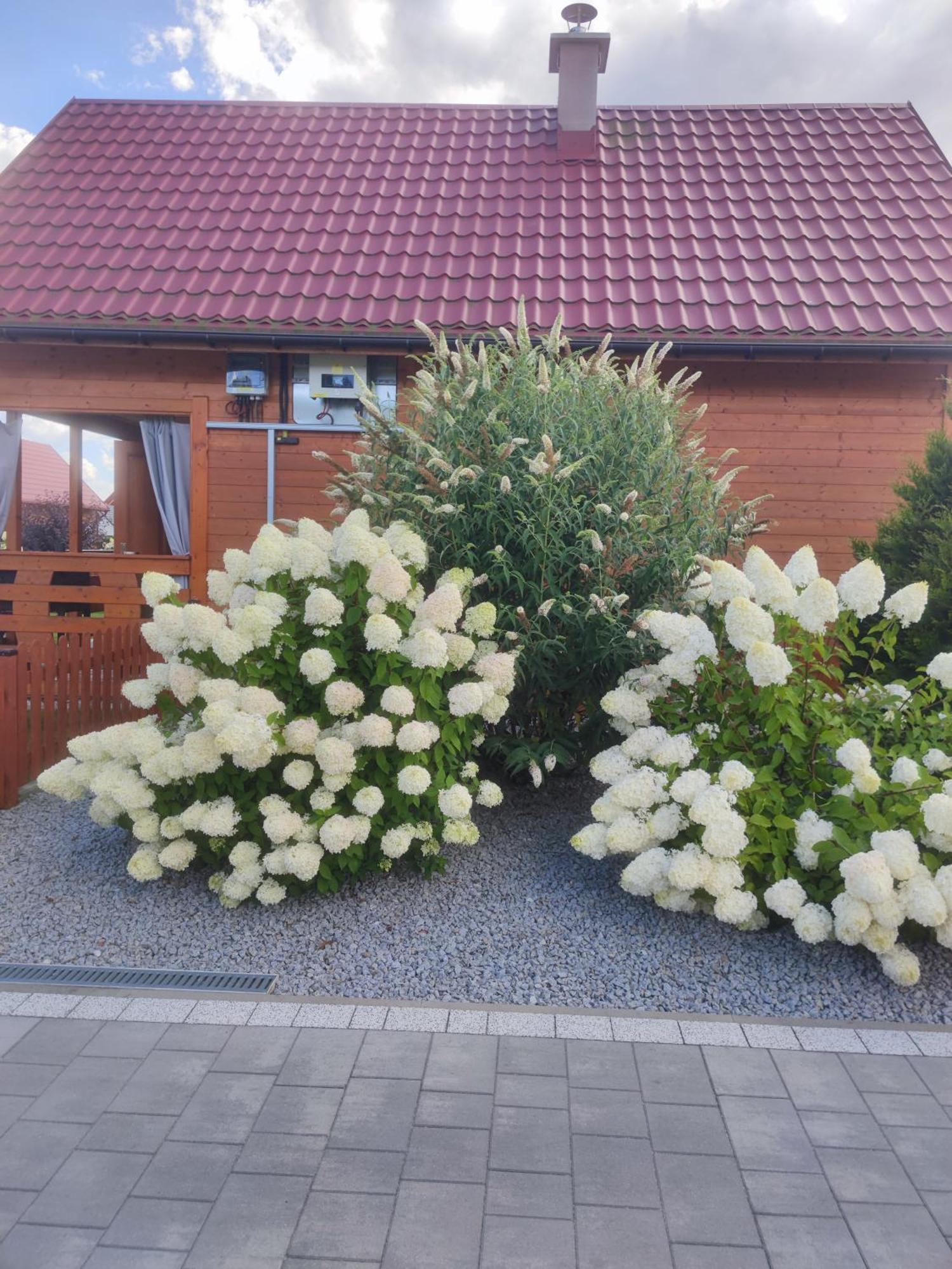 Miodowa Sadyba Domki Caloroczne Kluczbork Ligota Zamecka Buitenkant foto