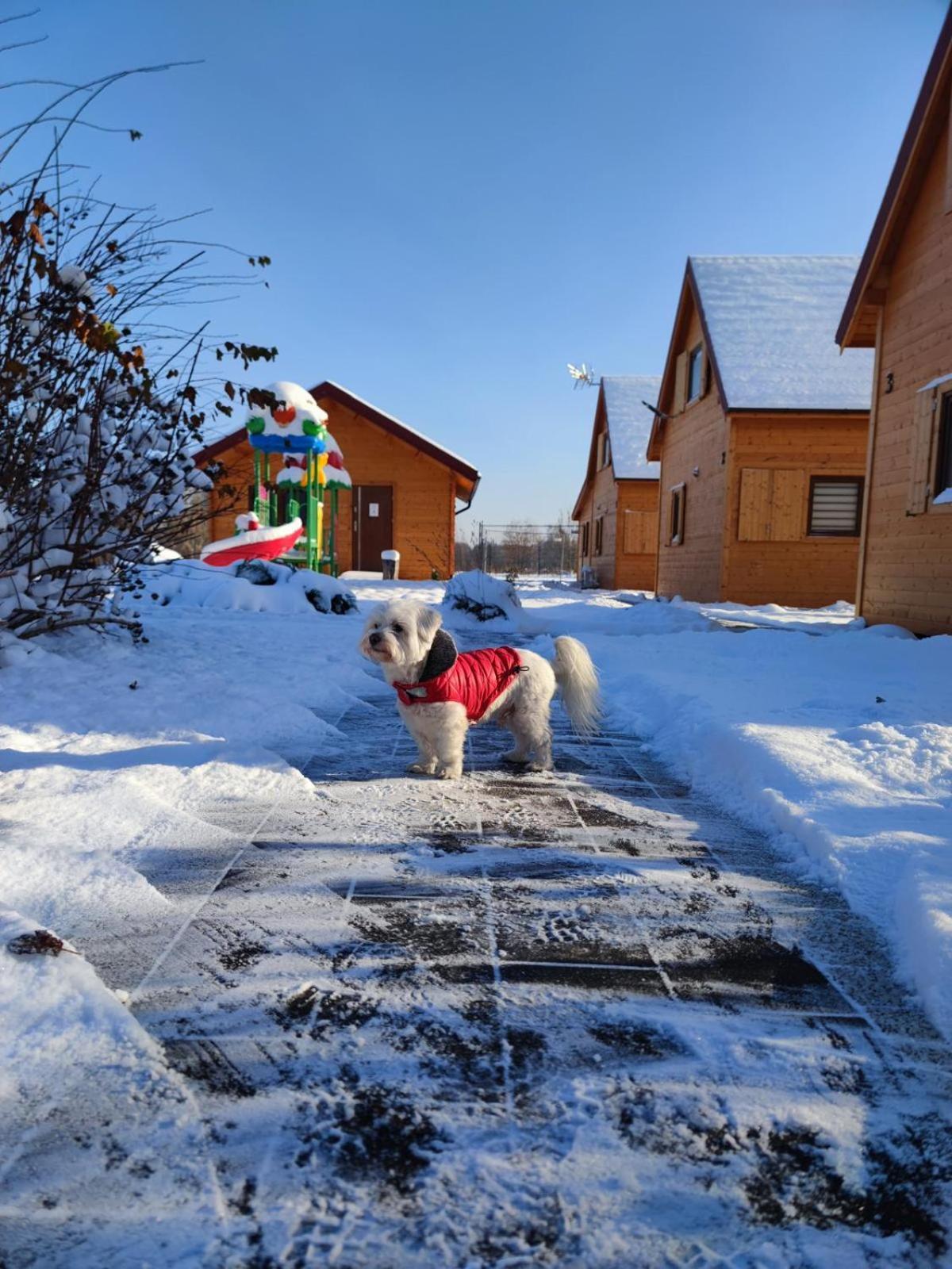 Miodowa Sadyba Domki Caloroczne Kluczbork Ligota Zamecka Buitenkant foto
